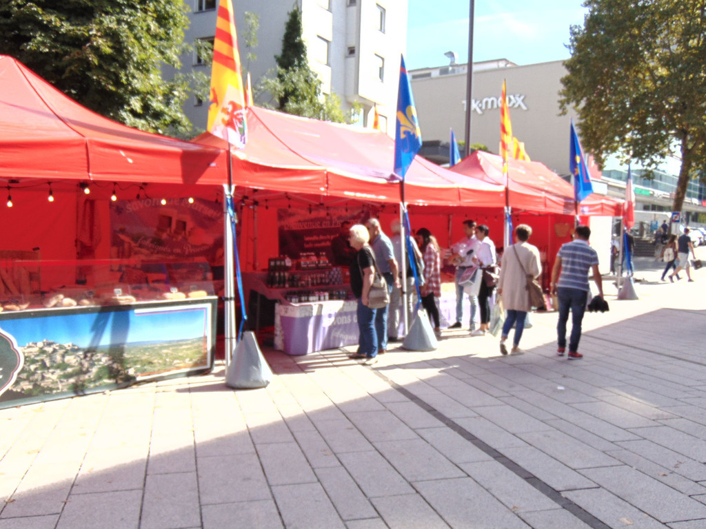 DSC08064.JPG