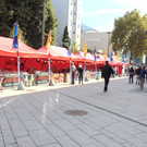 DSC08068.JPG
