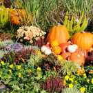 Mahlerhof 28-09-2014 406.jpg