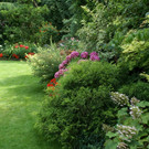 Hard Wolff G DSC01841.JPG