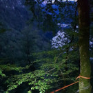 Königssee: Bilder vom Einsatz