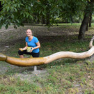 27 Naturspielplatz Altwies.jpg