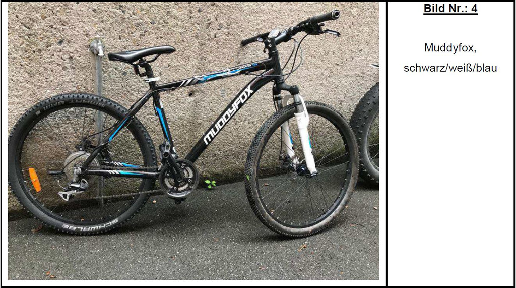 fahrrad 4.JPG
