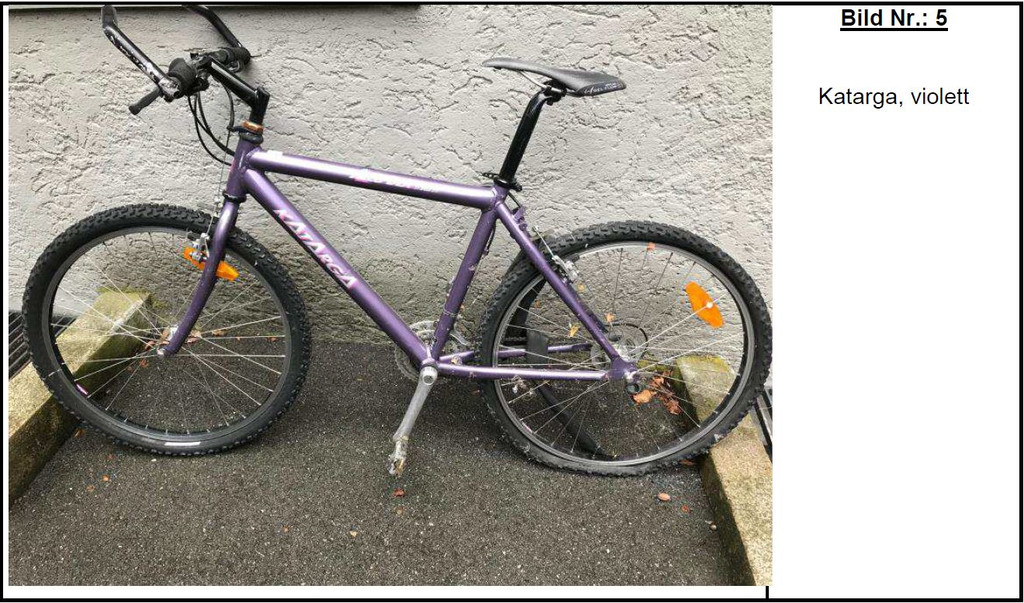 fahrrad 5.JPG