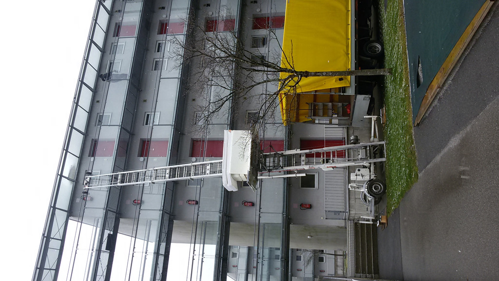 20180319_101155.jpg