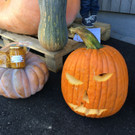 IMG_0259.JPG