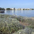 Greece_Giant_Web_78044.jpg