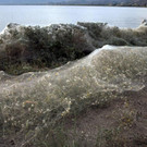 Greece_Giant_Web_07089.jpg