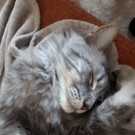 IMG-20180926-WA0000.jpg