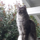 IMG-20180926-WA0002.jpg