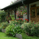 H__chst Senekowitsch G DSC01865.JPG