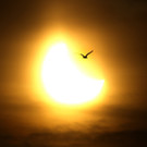 2015 Sonnenfinsterin _APA_ dpa-Zentralbild_.jpg