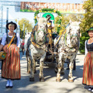 wiesn _16_.jpg