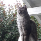 IMG-20180927-WA0008.jpg