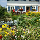 Hohenweiler Willi G DSC01813.JPG