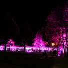 Bleib jung, Feldkirch 800