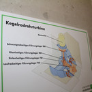 IMG_8280.JPG