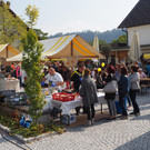 P9291539.JPG
