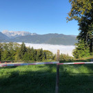 Bilder der Unfallstelle