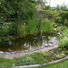 Lochau Schie__nig G DSC01805.JPG