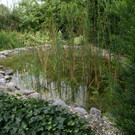 Lustenau  B__sch Klaus G DSC01904.JPG