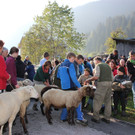 Garnera12.JPG
