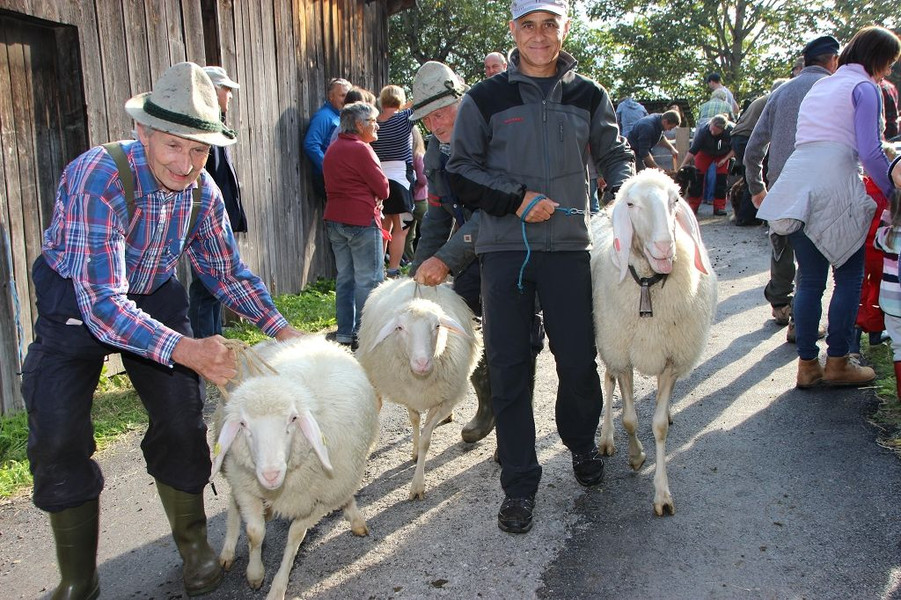 Garnera14.JPG