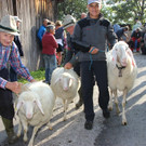 Garnera14.JPG