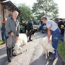 Garnera15.JPG