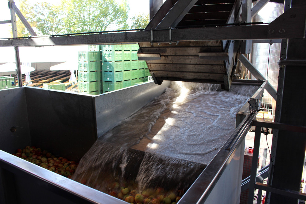 Prinz TAG DES OBSTES Obsthof Leiblachtal 28-09-2018 _19_.JPG
