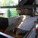 Prinz TAG DES OBSTES Obsthof Leiblachtal 28-09-2018 _19_.JPG
