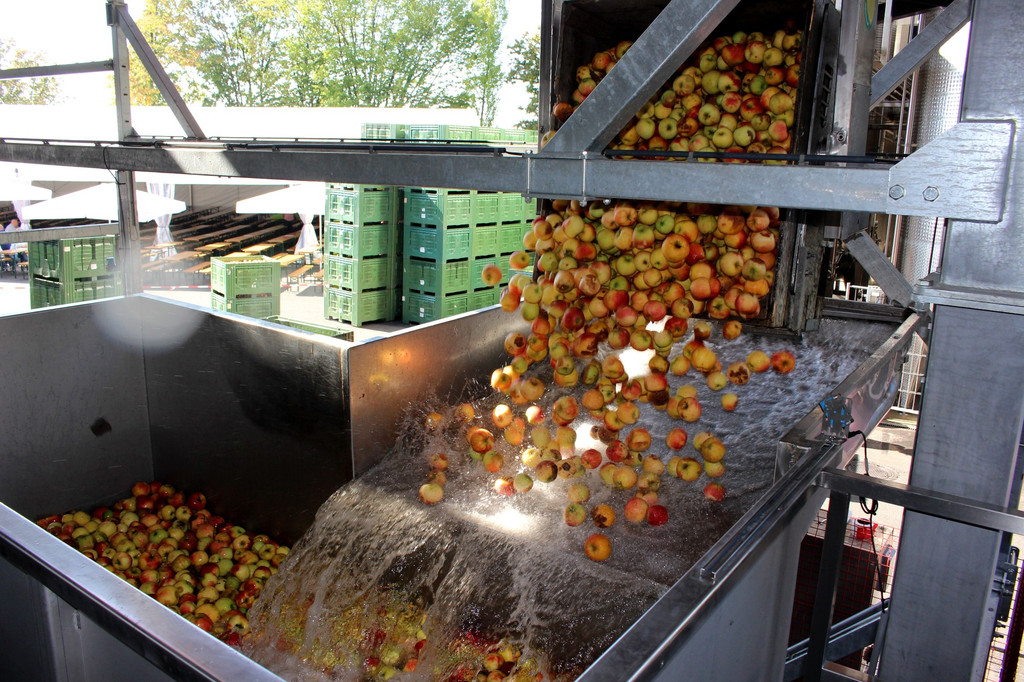 Prinz TAG DES OBSTES Obsthof Leiblachtal 28-09-2018 _20_.JPG