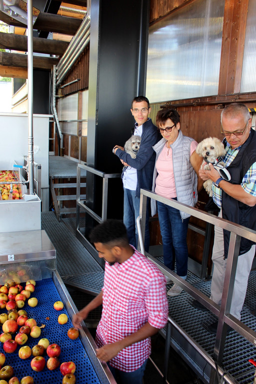 Prinz TAG DES OBSTES Obsthof Leiblachtal 28-09-2018 _18_.JPG