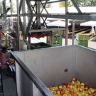 Prinz TAG DES OBSTES Obsthof Leiblachtal 28-09-2018 _33_.JPG