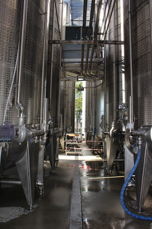 Prinz TAG DES OBSTES Obsthof Leiblachtal 28-09-2018 _21_.JPG