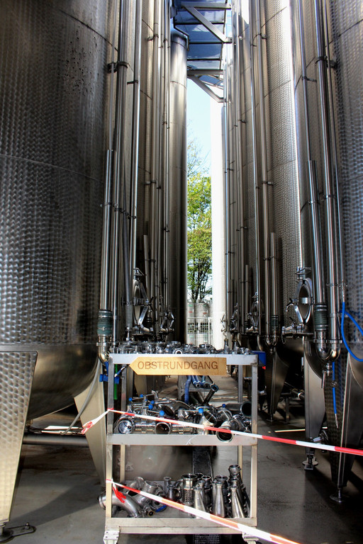 Prinz TAG DES OBSTES Obsthof Leiblachtal 28-09-2018 _22_.JPG