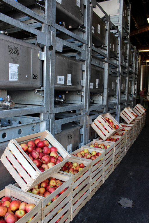 Prinz TAG DES OBSTES Obsthof Leiblachtal 28-09-2018 _14_.JPG