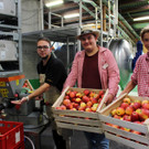 Prinz TAG DES OBSTES Obsthof Leiblachtal 28-09-2018 _32_.JPG