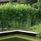 Lustenau B__sch Michael G DSC01887.JPG