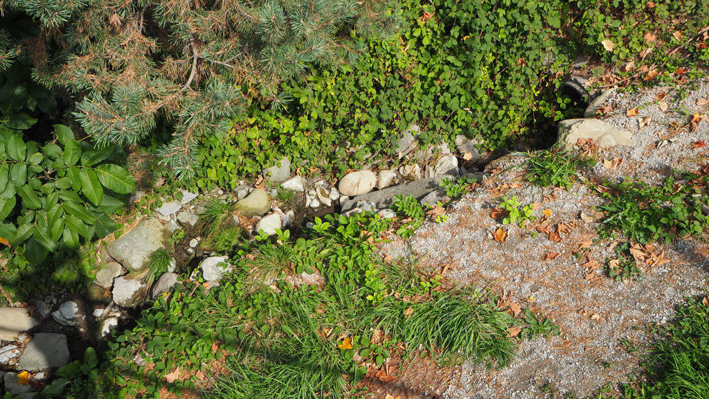 P9291576.JPG