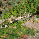 P9291576.JPG