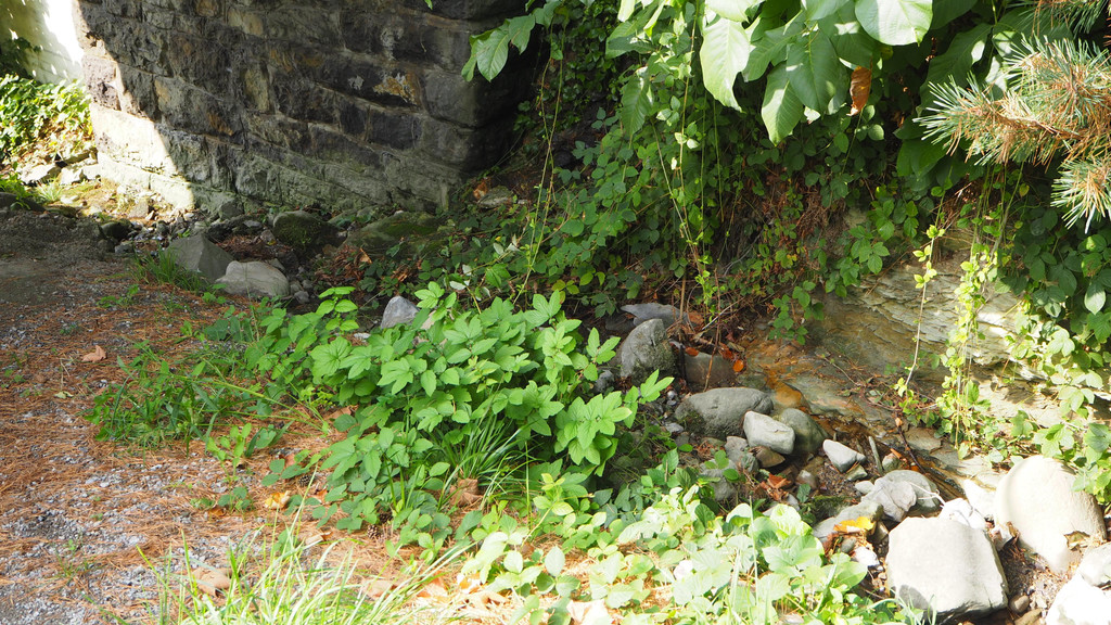 P9291578.JPG