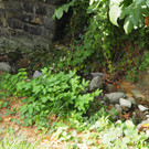 P9291578.JPG