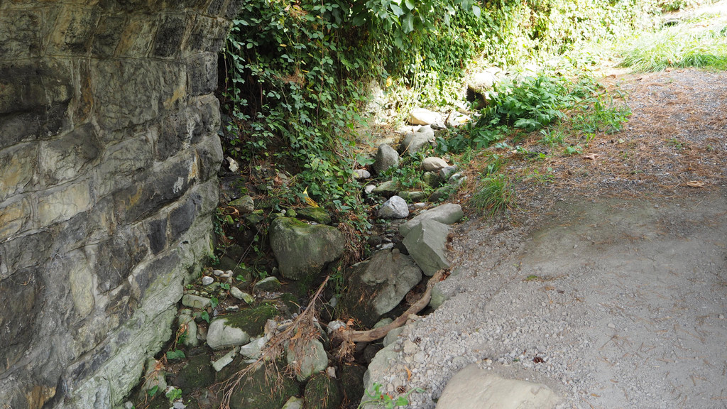 P9291580.JPG