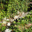 P9291582.JPG