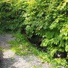 P9291584.JPG