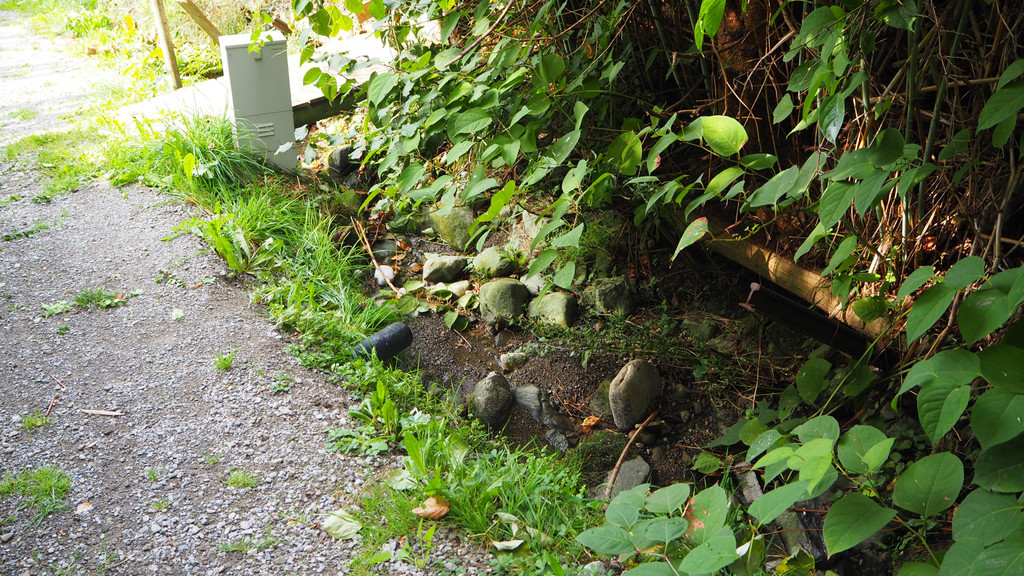 P9291586.JPG