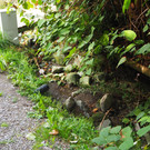 P9291586.JPG