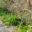 P9291588.JPG