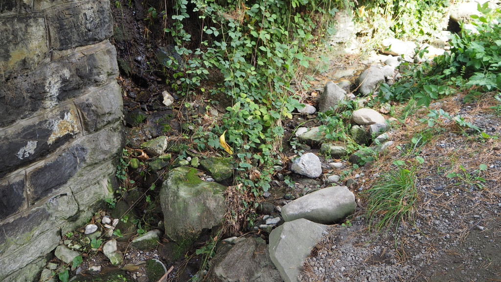 P9291593.JPG